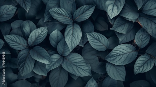 Background of abstract leaves with a focus on aesthetic minimalism. The composition features a dark backdrop providing ample copy space  highlighted by a trendy sage color palette.