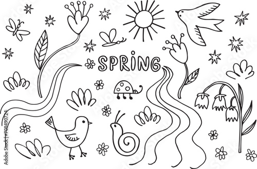 Spring ink sketch hand drawn doodle with stream, bird, blooming plants, flowers, ladybug, chicken, sun, snail, butterfly, grass, lily valley,vernal wild live. Design background for print, paper, card