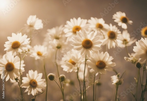 Flowers on a cream colored background