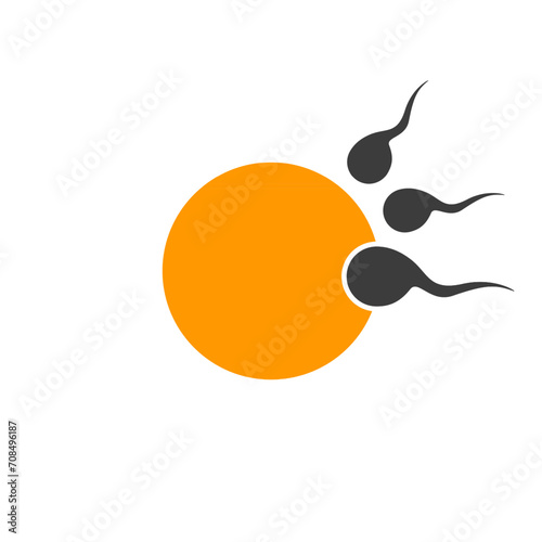 vector illustration depicting egg and sperm cells in the process of fertilization photo