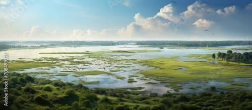 Guerande peninsula's coastal wetland.