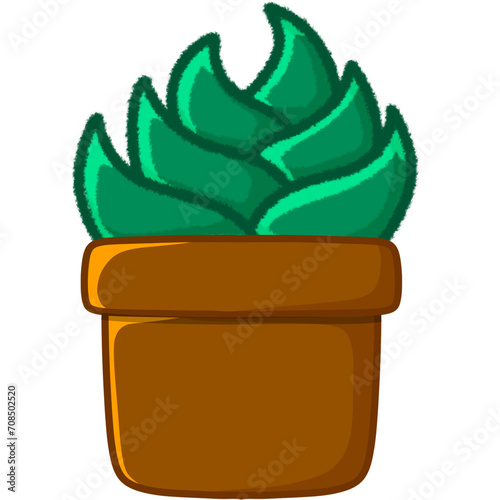 cactus in a pot
