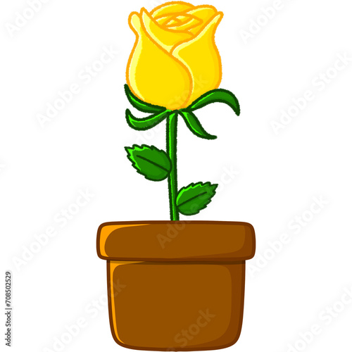 yellow rose in a vase