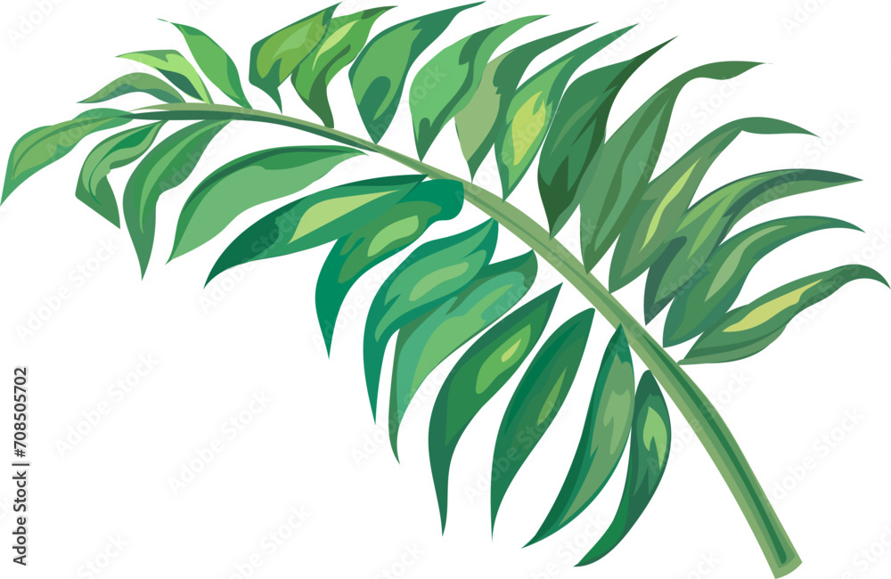 Leaf illustration on transparent background.
