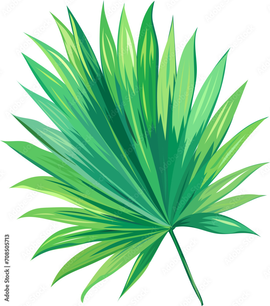 Leaf illustration on transparent background.
Leaf illustration on transparent background.