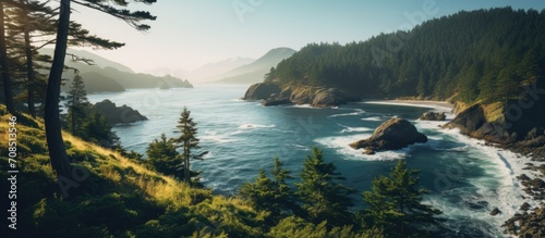 Scenic outlook of evergreen forest, hills, and coastline. photo
