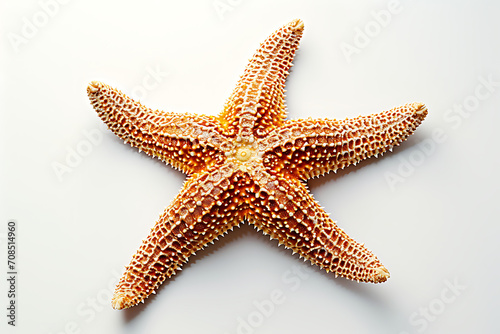 exotic starfish isolated on a white background