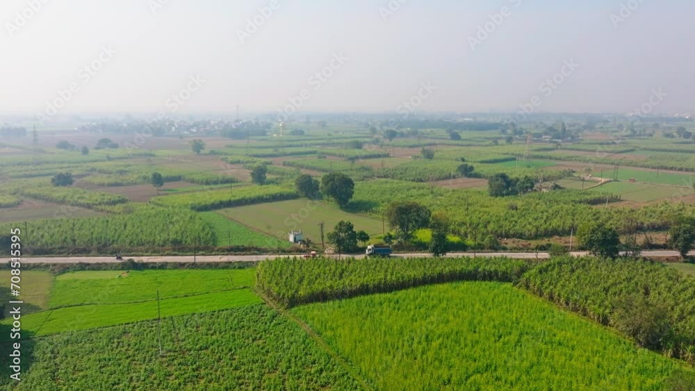 Aerial view of a village road with farms lands growing sugarcane, wheat and multiple crops and freshly sowed fields in North India. Aerial view of a village road with farms lands growing sugarcane, wheat and multiple crops and freshly sowed fields in North India.