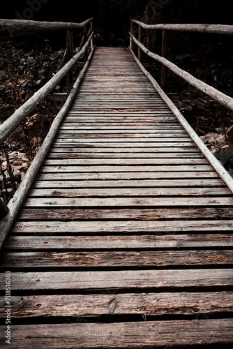 wooden bridge in the forest in perspective