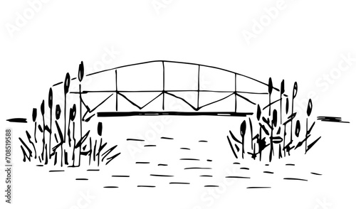 Bridge over the river, reeds. Nature, two shores. Building construction. Simple vector drawing with black outline. Sketch in ink.