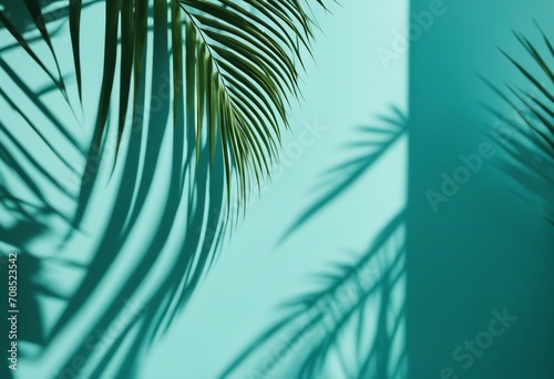 Blurred shadow from palm leaves on the light blue wall Minimal abstract background for product prese photo