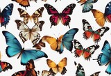 Set two beautiful colorful bright multicolored tropical butterflies with wings spread and in flight