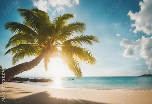 Summer background with frame nature of tropical golden beach with rays of sun light and leaf palm Go © ArtisticLens