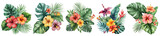 Tropical watercolor flowers isolated on transparent background. 