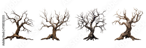 Set of Dead tree isolated on transparent or white background