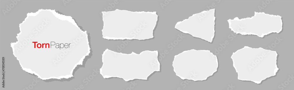 Set of white ripped paper stripes. Realistic papers scrap with torn edges. Notepad torn papers for message note, page or banner. Vector collection.