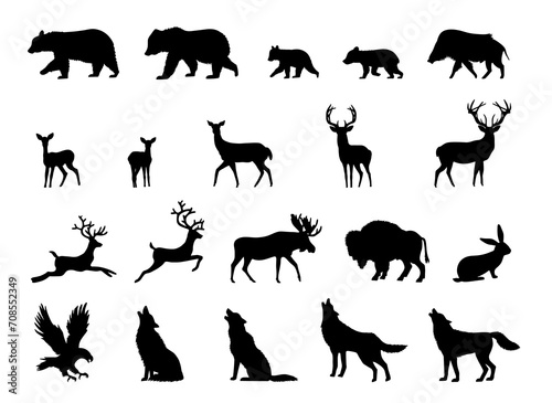 Woodland Animals Bundle, Wildlife, Hand Drawn Vector Illustration © Gojko