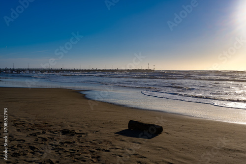 Fototapeta Naklejka Na Ścianę i Meble -  Seascape with beached timber in the foreground in Marina di Castagneto Carducci Tuscany Italy