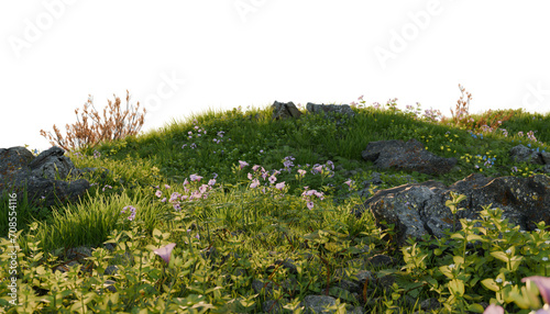 Fototapeta Naklejka Na Ścianę i Meble -  Verdant Hill Blooming with Yellow Flowers in Spring. 3D render.