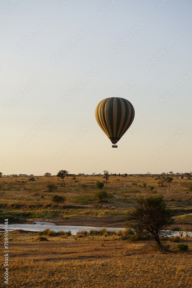 african wilderness, hot air balloon, landscape