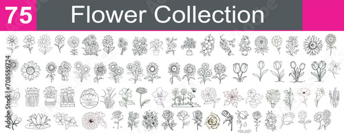 Flower Collection vector illustration. Flower big set. Rose, Lily, Tulip, daisy, lotus, sunflower and more.  Simple Design Outline Style. isolated on white background. flowers drawing with line art. 