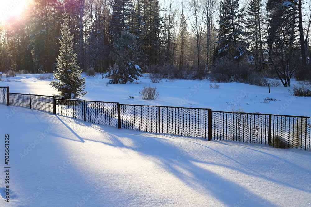 Spruce forest in the snow. Winter landscape with snow-covered tree branches. Spruce forest in the snow. Winter landscape with snow-covered tree branches.