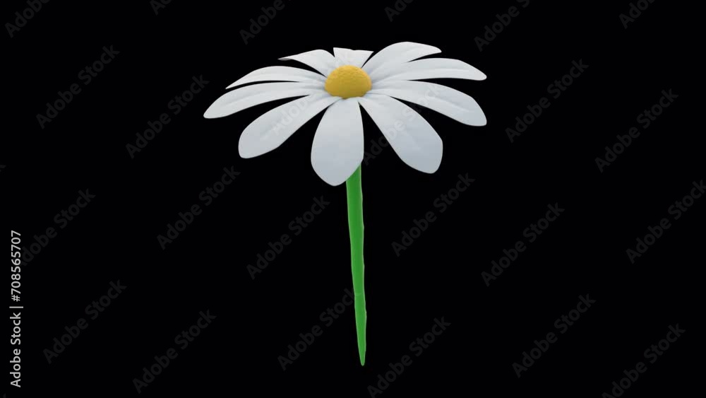 Vidéo Stock Daisy Flower Loop. 3D flower endlessly rotates and rubs