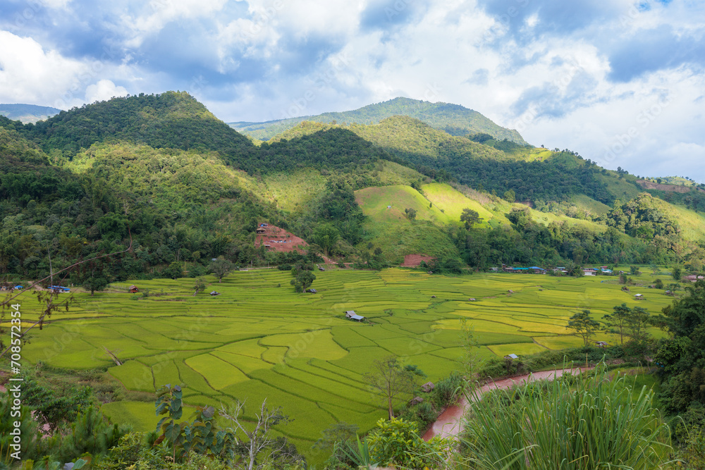 View of rice terrace in the valley with a traditional rural house located in Nan province, Northern of Thailand