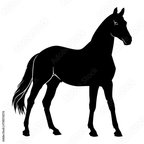 Silhouette horse full body black color only