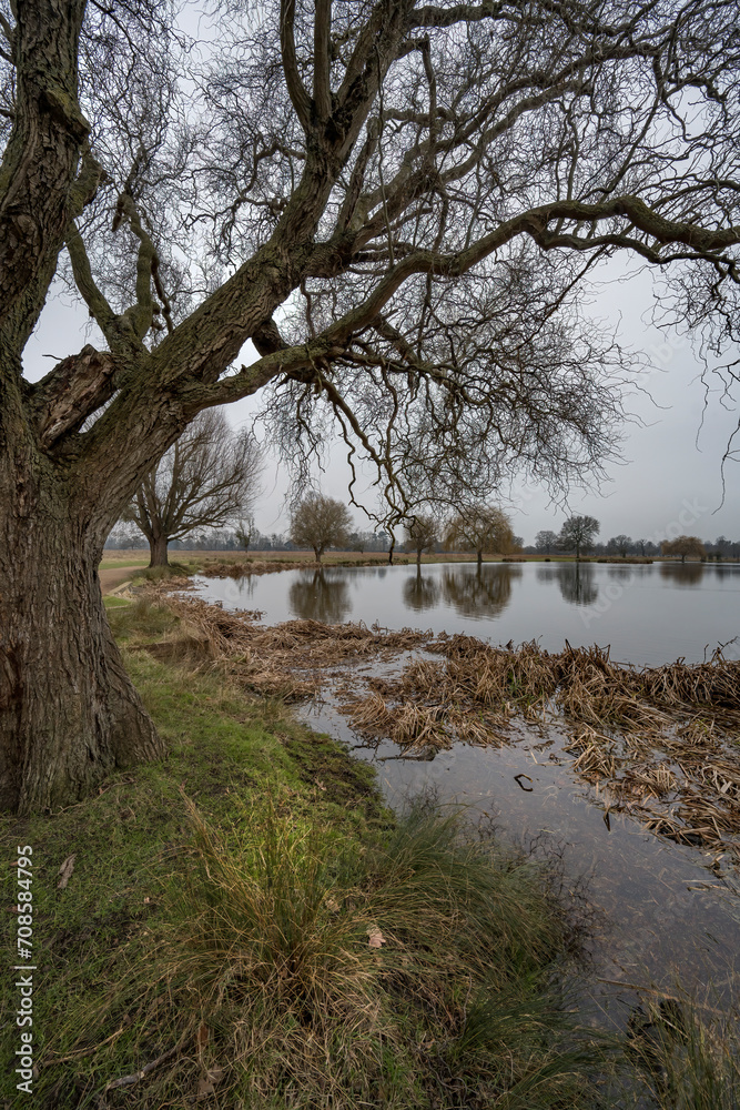 Obraz premium Winter scene by the pond