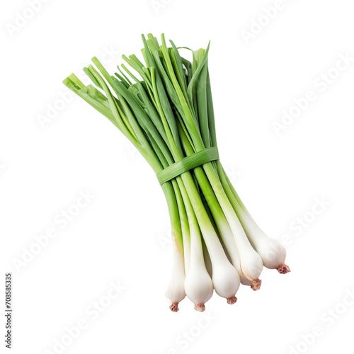 Fresh spring onions isolated on transparent background