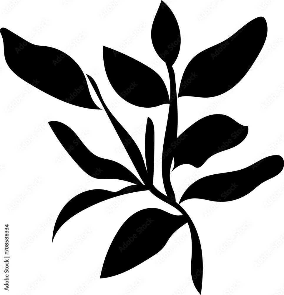 Hand drawn leaves illustration, Transparent background Hand drawn leaves illustration, Transparent background