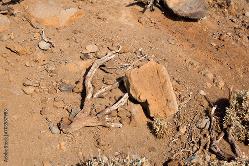 Terreno en Parque Nacional del Teide