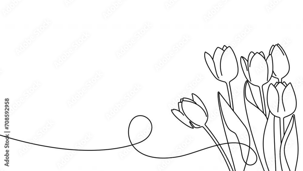 Continuous one line drawing of beautiful spring flowers graphic animation. Alpha channel. Single line art bouquet of tulips on transparent background motion design. 4K resolution