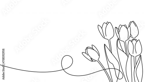 Continuous one line drawing of beautiful spring flowers graphic animation. Alpha channel. Single line art bouquet of tulips on transparent background motion design. 4K resolution photo