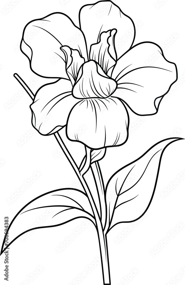 Obraz premium Daffodil flower hand-drawn vector sketch flowers coloring page