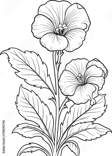 Hand-drawn petunia flower coloring page, black and white vector illustration