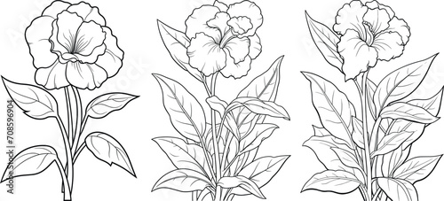 Hand-drawn line art set of beautiful black and white flowers, floral illustration coloring page