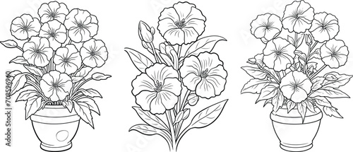 Hand-drawn line art set of beautiful black and white flowers, floral illustration coloring page