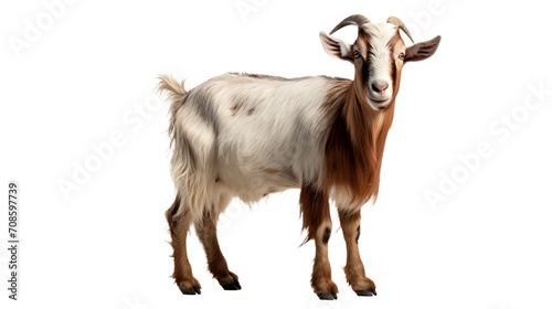 A majestic feral goatantelope stands proudly on a dark canvas, its powerful horns and wild snout embodying the untamed beauty of terrestrial wildlife