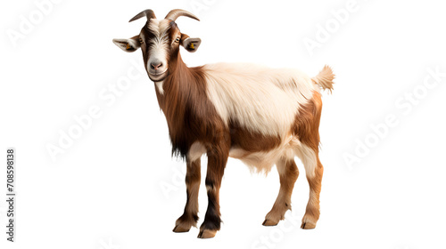 A majestic goatantelope with powerful horns stands tall in the wild, showcasing its feral beauty as a symbol of strength and resilience in the animal kingdom