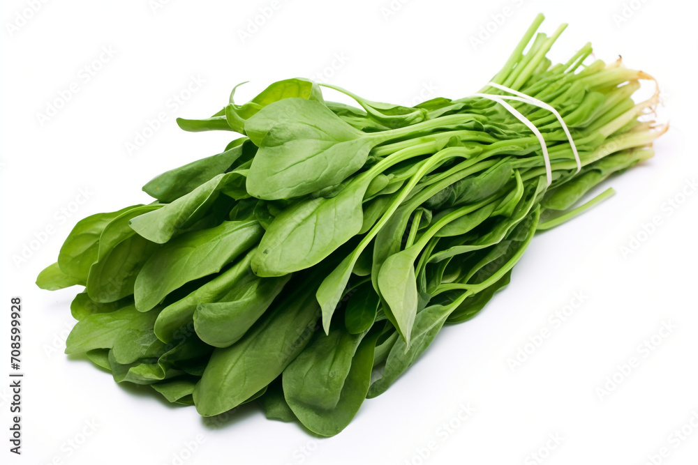 Water Spinach (Kangkong) isolated on white background created with Generative Ai Water Spinach (Kangkong) isolated on white background created with Generative Ai