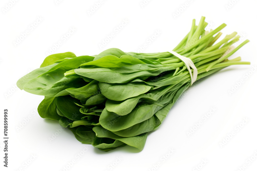 Water Spinach (Kangkong) isolated on white background created with Generative Ai Water Spinach (Kangkong) isolated on white background created with Generative Ai