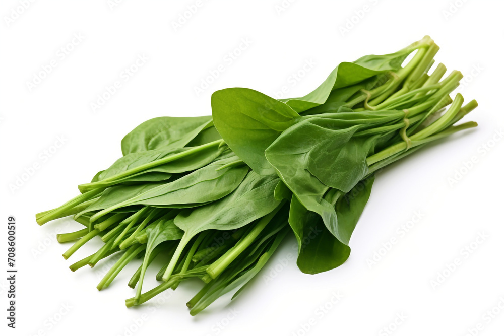 Water Spinach (Kangkong) isolated on white background created with Generative Ai Water Spinach (Kangkong) isolated on white background created with Generative Ai