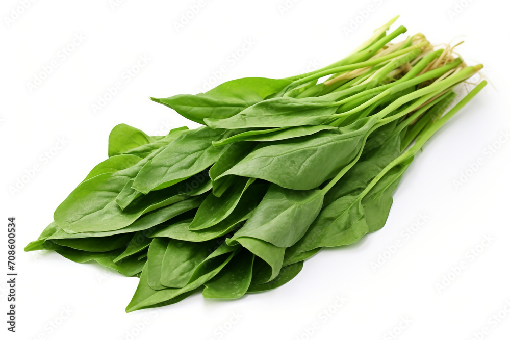 Water Spinach (Kangkong) isolated on white background created with Generative Ai