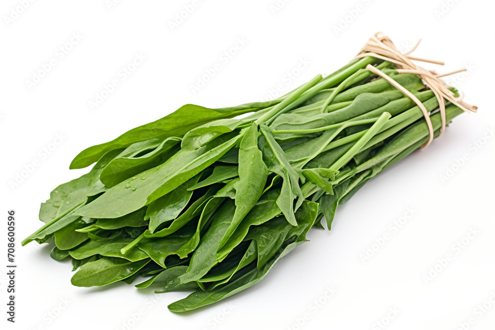 Water Spinach (Kangkong) isolated on white background created with Generative Ai Water Spinach (Kangkong) isolated on white background created with Generative Ai