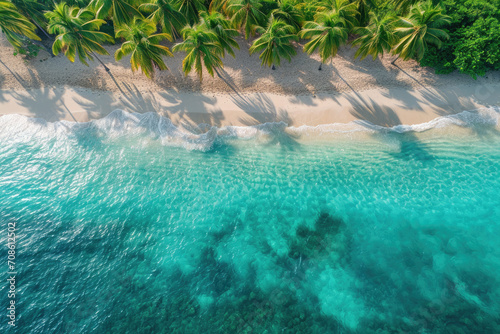 Zanzibar Islands Ocean Tropical Beach © STORYTELLER