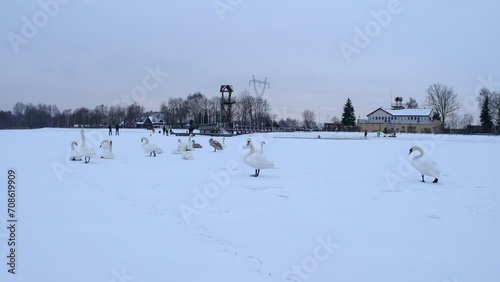 Frozen Lake in Dąbrowa Górnicza, Poland photo