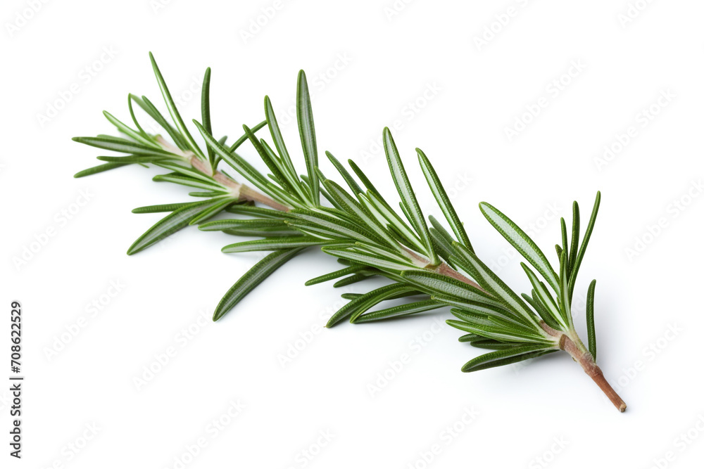 Fototapeta premium Rosemary isolated on white background created with Generative Ai