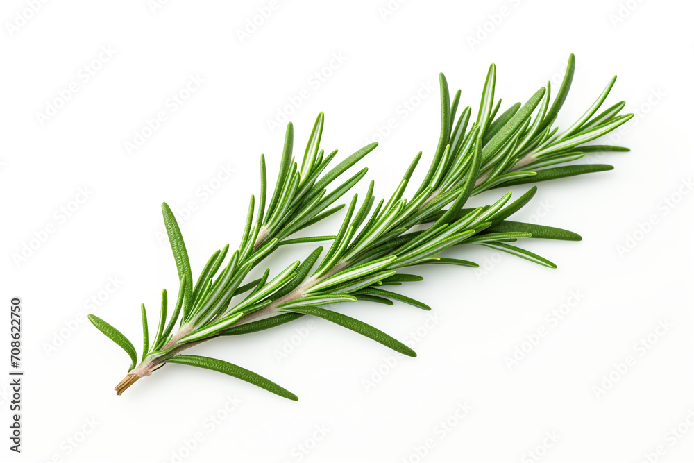Fototapeta premium Rosemary isolated on white background created with Generative Ai